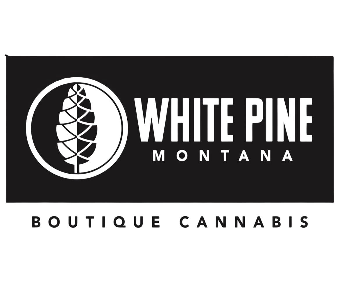 White Pine Montana